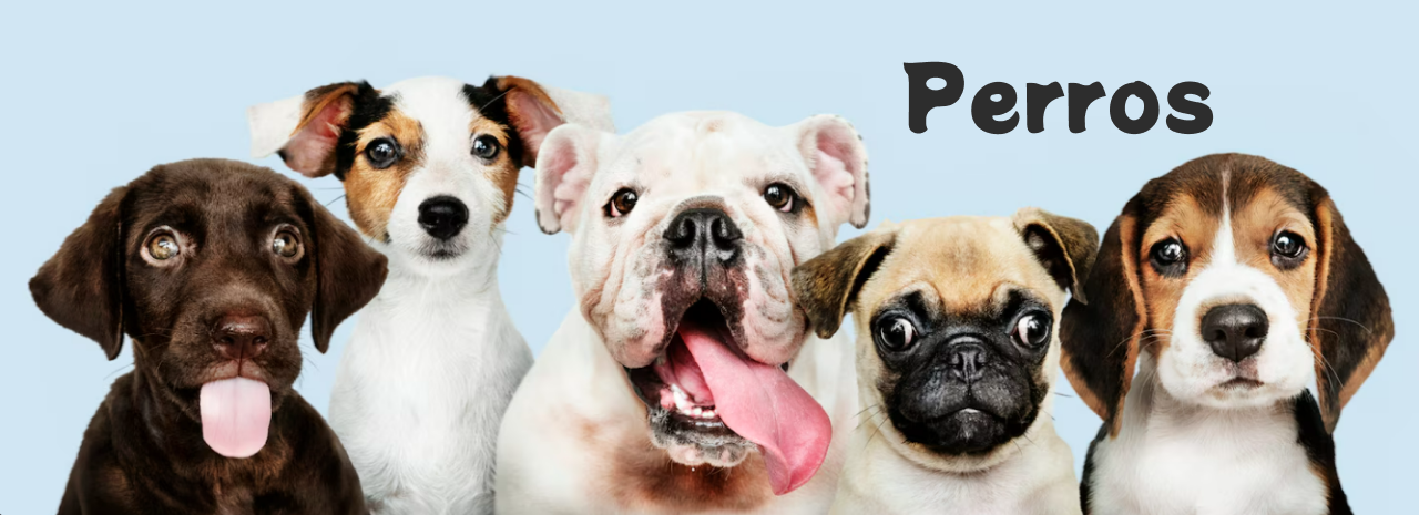 Perros