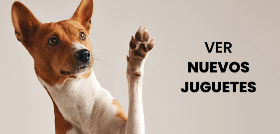 Nuevos Juguetes
