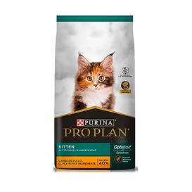 Producto para Gato