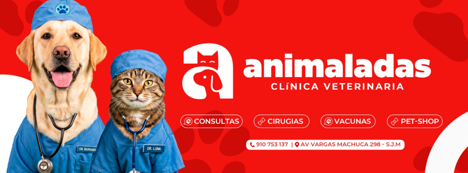 Servicios